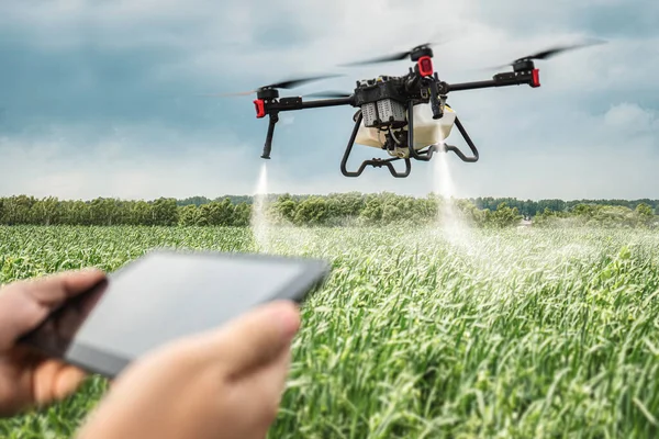 drone control on the farmer\'s field. Modern technologies in agriculture. industrial drone flies over a green field and sprays useful pesticides to increase productivity and destroys harmful insects.