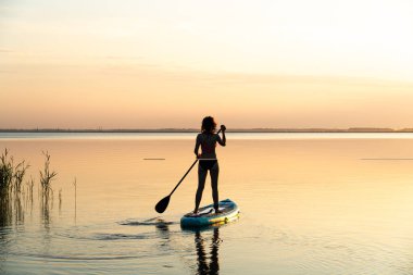 Glanders sörfü için gemideki sporcu kız. Genç, narin bir kadın elinde kürekle sörf tahtasının üzerinde yüzüyor. Sörf. Suda yaz eğlencesi. Sağlıklı bir yaşam tarzı. Kadınlar ayağa kalkın ve sakin sularda yüzün.