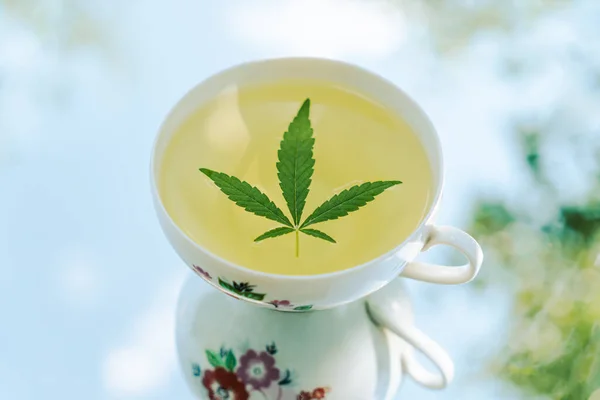 Marijuana Tea. Hemp Tea. Cannabis Tea in White Tea Cup with a Marijuana Leaf . cannabis drink on a blurred natural background of a summer garden