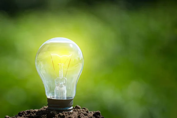 lightbulb on soil and sunshine. concept saving energy in nature. eco-friendly energy of the earth. copy space,