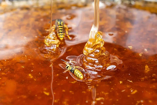 Macro Honey Bubbles Close Bright Amber Color Texture Honey Concept — Stock Photo, Image
