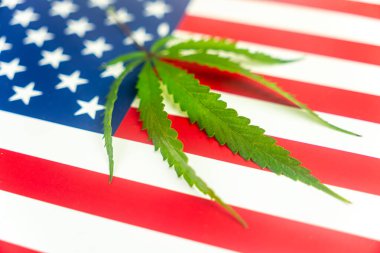 Amerikan bayrağının arka planında kenevir yaprağı. Birleşik Devletler 'de marihuananın yetiştirilmesi ve kullanımına ilişkin mevzuatta yasallaşma ve değişiklik kavramı.