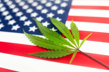 Amerikan bayrağının arka planında kenevir yaprağı. Birleşik Devletler 'de marihuananın yetiştirilmesi ve kullanımına ilişkin mevzuatta yasallaşma ve değişiklik kavramı.