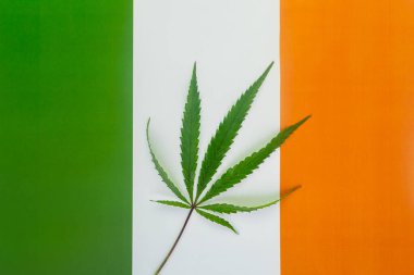İrlanda bayrağının arka planında kenevir yaprağı. Yasallaşma kavramı ve ülkede marihuana yetiştirme ve kullanımına ilişkin mevzuattaki değişiklikler İrlanda 'da.