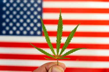 Amerika yasal marihuana kavramı. Tıbbi kenevir. Bir kenevir yaprağı ülke bayrağının arka planında yatıyor. Marihuananın yasallaştırılması veya yasaklanması kavramı.