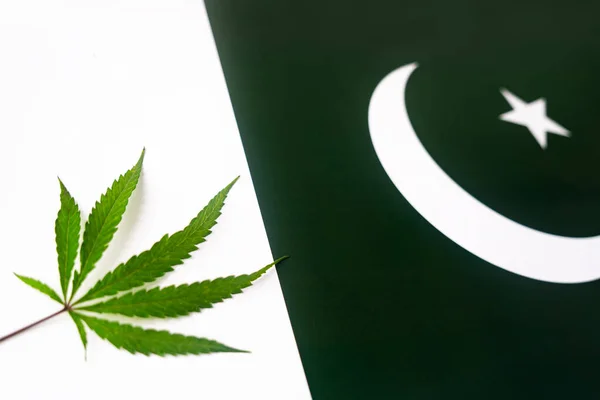 a hemp leaf on background of the pakistan flag. Concept of legalization and changes in legislation regarding cultivation and use of marijuana in the country pakistan