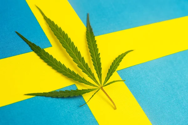 a hemp leaf on background of the swedish flag. Concept of legalization and changes in legislation regarding cultivation and use of marijuana in the country sweden