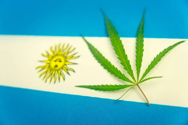 아르헨티나 국기의 배경에 국가에서 마리화나의 재배와 사용에 법률의 합법화와 변화의 — 스톡 사진