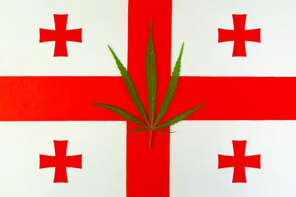 a hemp leaf on background of the georgian flag. Concept of legalization and changes in legislation regarding cultivation and use of marijuana in the country georgia