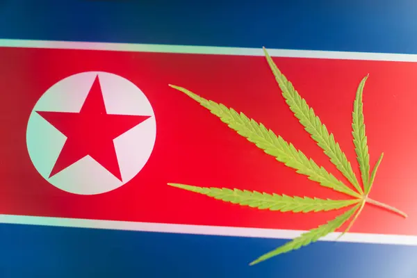 a hemp leaf on background of the korean flag. Concept of legalization and changes in legislation regarding cultivation and use of marijuana in the country north korea