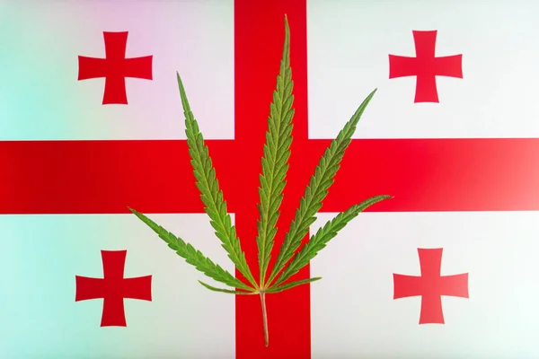a hemp leaf on background of the georgian flag. Concept of legalization and changes in legislation regarding cultivation and use of marijuana in the country georgia.