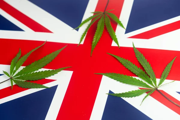 Hemp Leaf Background British Flag Concept Legalization Changes Legislation Cultivation — Stock Photo, Image
