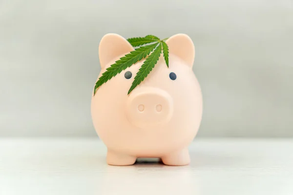 spending money on drugs. Profiting from selling marijuana, A piggy bank on a wood background with a marijuana leaf