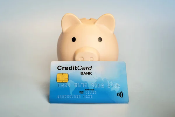 Close up of pink piggy money bank and blue credit card on blue gray background. Money accumulation, investment, banking or business services, wealth concept. Copy space advertising mock up