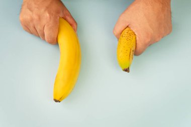 Small Banana compare size wish banana on blue background. Sexual life libido, penis size and potency concept. Flat lay, top view, copy space