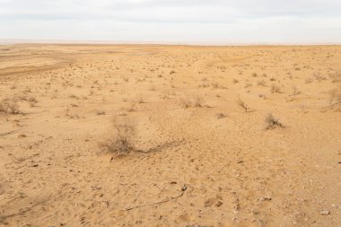Kyzylkum Çölü'ndeki kum tepeleri, Özbekistan