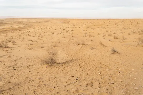 Kyzylkum Çölü'ndeki kum tepeleri, Özbekistan