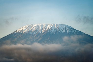 Amboseli 'deki Kilimanjaro Dağı' nın tepesinde kar var. Karla kaplı Kilimanjaro volkanının zirvesi