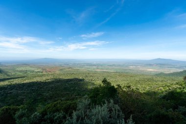 Büyük Rift Vadisi 'ne bakan Batı Kenya dağlık arazilerindeki Karoit yakınlarında geniş bir tarla manzarası. Ön plandaki çalılar. Kenya, Afrika. Kamelya Sinensis.