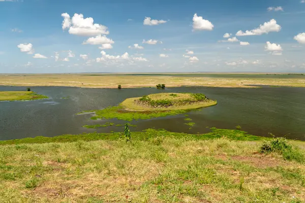 Amboseli Kenya Milli Parkı 'ndaki güzel bir Afrika savanı ve gölleri manzarası..