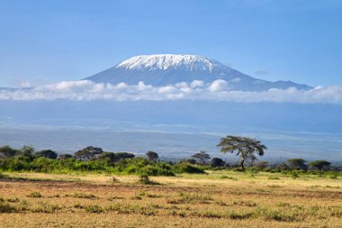 Kilimanjaro 'nun arka planında güzel Afrika manzarası. Kenya. Afrika. Afrika ovasının ve Kilimanjaro yanardağının güzel manzarası
