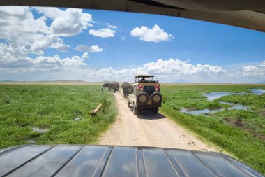 Kenya 'daki Amboseli Ulusal Parkı' ndaki toprak yoldan geçen büyük vahşi filleri izleyen ve fotoğraf çeken safari ciplerindeki turistler.