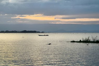 Naivasha Gölü 'nün huzurlu manzarası. Akşam günbatımında. Afrika. Kenya. Kenya 'nın manzarası güzeldir.