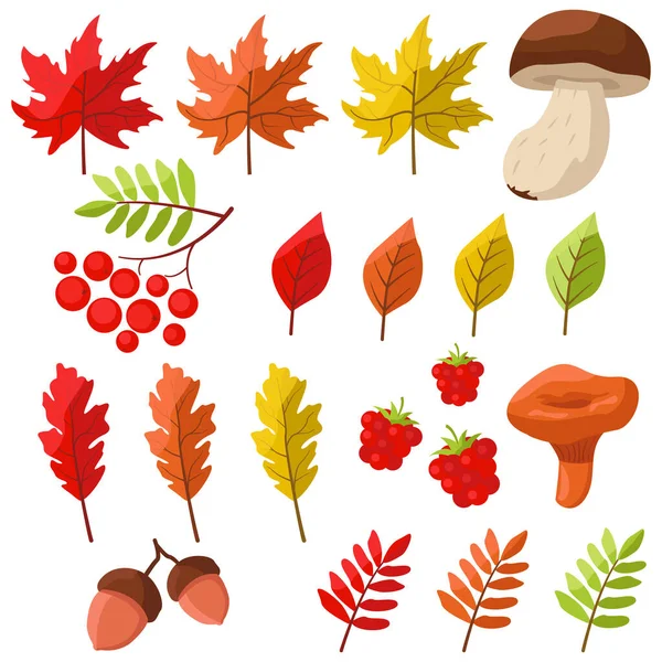 stock vector Vector autumn leaves, mushrooms, berries and acorns clipart.