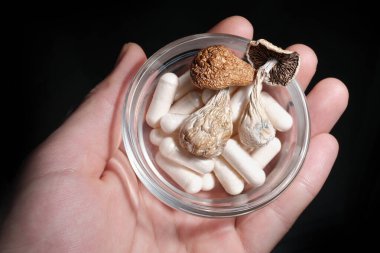 Alternatif ilaç takviyeleri ve mikro doz için diyet ilaçları. Adamın elinde Psilocybe Cubensis mantarları var. Siyah stüdyo arka planında, yakın plan. Haplı psilosibin mantarları, tıbbi kapsüller.