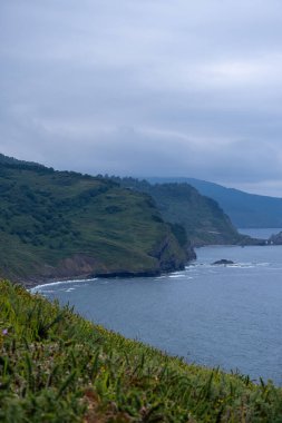 Deniz kıyısının güzel manzarası