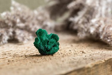 Tahta Arka planda işlenmemiş yeşil Malachite Mineral Mücevher Taşı. Büyüyen Malachite Kristalleri
