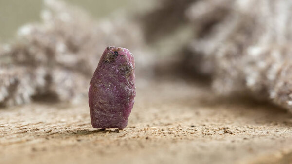 Rough Uncut Pinkish Ruby Stone on Wooden Background, Ruby is traditional popular gemstone for jewelry