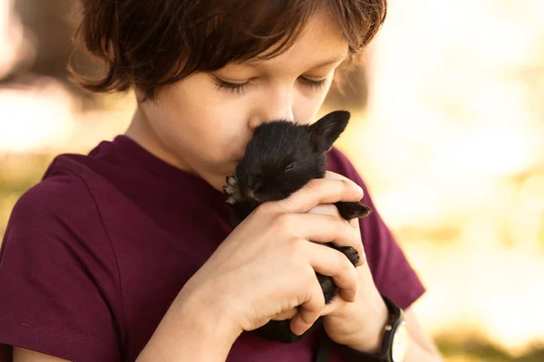 Kid Kisses Petit Lapin Noir Tenant Dans Ses Mains Avec — Photo