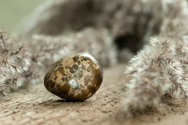 Kahverengi Jasper Tahta Arkaplan Mücevher Taşı Tökezletti Jasper Süsleme Gemstone — Stok fotoğraf