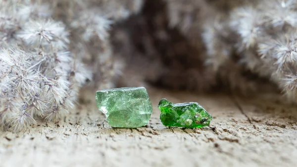 Przejrzysty Zielony Apatite Diopside Crystal Healing Stone Drewnianym Tle Kolekcja — Zdjęcie stockowe