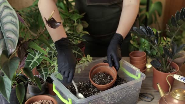 Pracownik Magazynu Roślin Czarnych Rękawiczkach Wypełnia Mieszankę Gleby Ceramicznego Doniczki — Wideo stockowe