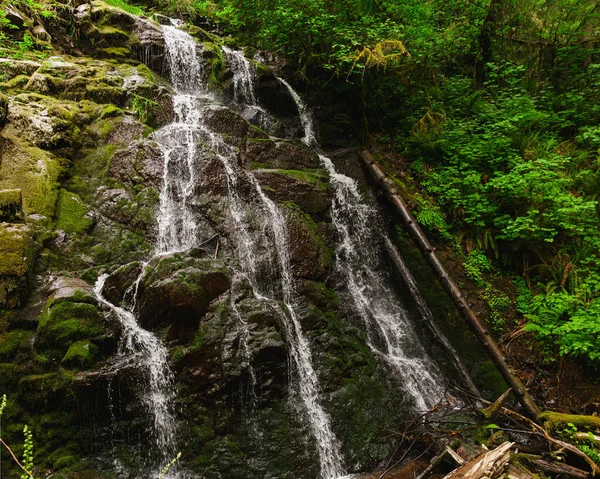 stock image Enchanting Woodburn Falls in Lacamas Park in the Summer. Cascading Waters Flow Gracefully amidst Lush Greenery and Moss-covered Rocks.