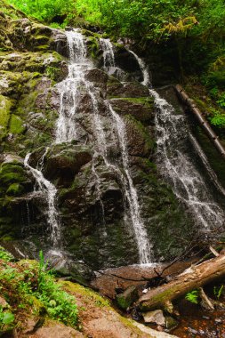 Yazın Lacamas Park 'ta Woodburn Falls' u büyülemek. Şelale gibi akan sular yemyeşil ve yosun kaplı kayaların arasında zarafetle akıyor..