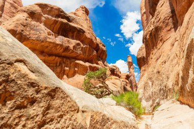 Dar Kum Taşı Çölü Kaya Kanyonu. Ateşli Fırın Duvarları, Yürüyüş Yolu, Arches Ulusal Parkı, Utah, ABD