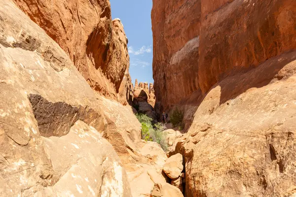 Narrow Sandstone Desert Rock Canyon with Steep Walls in Fiery Furnace Hiking Trail, Arches National Park, Utah, United States