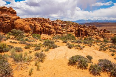 Utah, Arches Ulusal Parkı 'ndaki Ateşli Kazan, çarpıcı bir çöl sahnesi dramatik kaya oluşumları ve seyrek çöl bitkileriyle, bölgenin ayırt edici ve engebeli cazibesini yakalıyor.