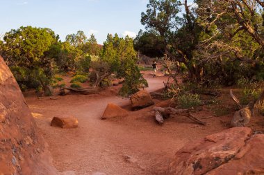 Utah, Arches Ulusal Parkı 'ndaki Şeytanların Bahçesi Yolu' ndaki Sandy Arazisi