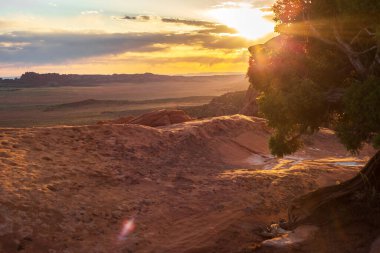 Utah, Arches Ulusal Parkı 'ndaki Devils Garden Trail' den çarpıcı bir günbatımı manzarası. Engebeli kızıl kaya oluşumları ve geniş çöl manzaraları batan güneşin sıcacık parıltısıyla aydınlanır..