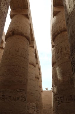 Mısır 'daki Giza' nın görkemli manzarası, açık mavi bir gökyüzünün altında altın güneş ışığıyla yıkanmış. Dünyanın Yedi Harikası 'ndan biri olan antik piramit, Antik Mısır' ın zengin tarihi ve kültürünü sembolize eden çöl kumlarına karşı dimdik ayakta duruyor..