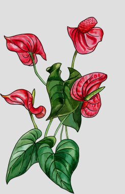 it's a unique digital Traditional Geometric Ethnic border, floral leaves baroque pattern and Mughal art elements, Abstract texture motif, and vintage Ornament artwork combination for textile printing.