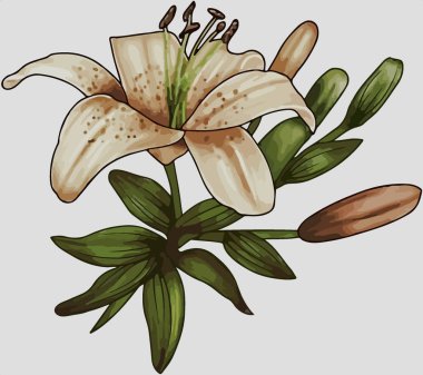 it's a unique digital Traditional Geometric Ethnic border, floral leaves baroque pattern and Mughal art elements, Abstract texture motif, and vintage Ornament artwork combination for textile printing.