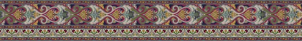 Eşsiz Dijital Geleneksel Geometrik Sınır Çiçek Yaprakları Barok Desen Babür — Stok fotoğraf