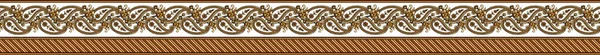 Unique Digital Traditional Geometric Ethnic Border Floral Leaves Baroque Pattern — 스톡 사진