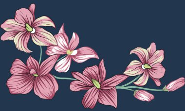 Eşsiz dijital Geleneksel Geometrik sınır, çiçek yaprakları barok desen ve Babür sanat unsurları, soyut doku motifi, ve tekstil baskı için klasik süsleme kombinasyonu..