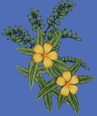 it's a unique digital Traditional Geometric Ethnic border, floral leaves baroque pattern and Mughal art elements, Abstract texture motif, and vintage Ornament artwork combination for textile printing.